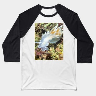 Alabaster Nudibranch / White-lined Dirona Baseball T-Shirt